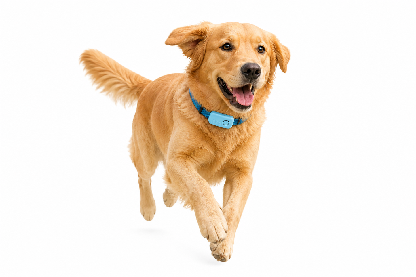 Ultimate GPS Pet Tracker - Waterproof Collar with Unlimited Range, No Monthly Fees, Perfect for Kittens, Compatible with iOS & Android!