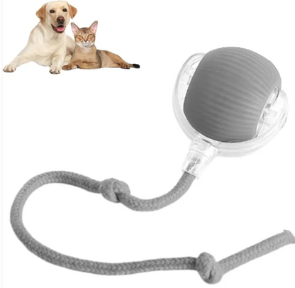 Smart Rolling Pet Ball